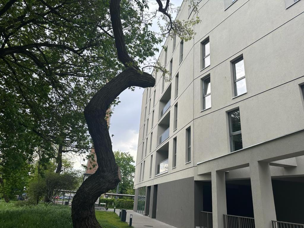 Apartament Centrum II Bydgoszcz Esterno foto
